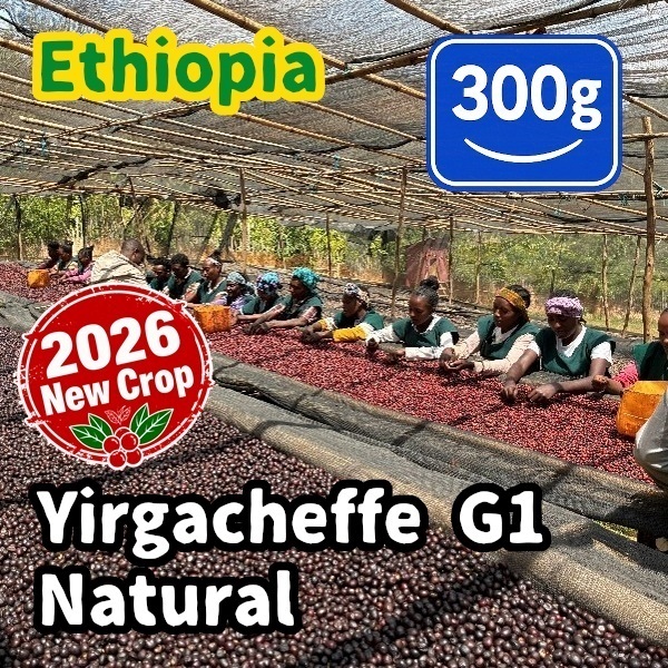 生豆 【New Crop】 Ethiopia Yirgacheffe G1 Natural 300g