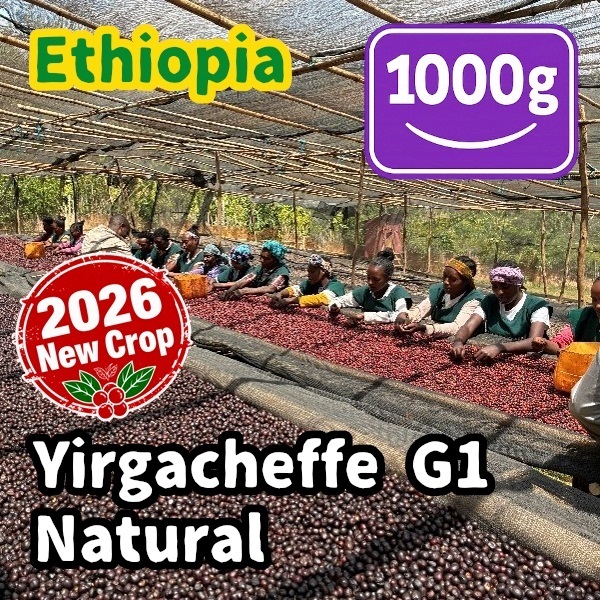 生豆 【New Crop】 Ethiopia Yirgacheffe G1 Natural 1000g