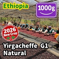 生豆 【New Crop】 Ethiopia Yirgacheffe G1 Natural 1000g