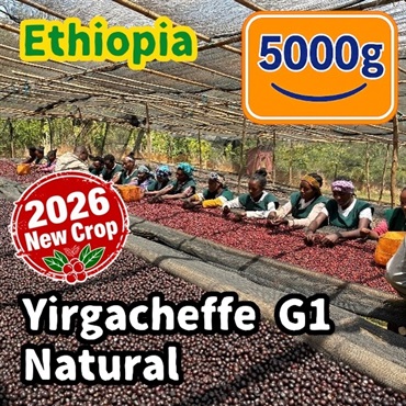 生豆 【New Crop】 Ethiopia Yirgacheffe G1 Natural 5000g