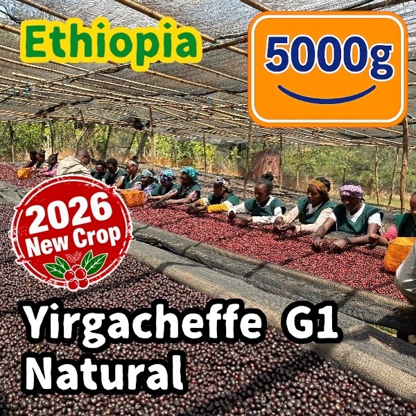 生豆 【New Crop】 Ethiopia Yirgacheffe G1 Natural 5000g