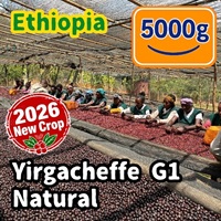 生豆 【New Crop】 Ethiopia Yirgacheffe G1 Natural 5000g