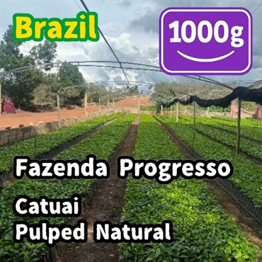 生豆 Brazil Fazenda Progresso Catuai Pulped Natural 1000g
