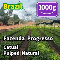 生豆 Brazil Fazenda Progresso Catuai Pulped Natural 1000g