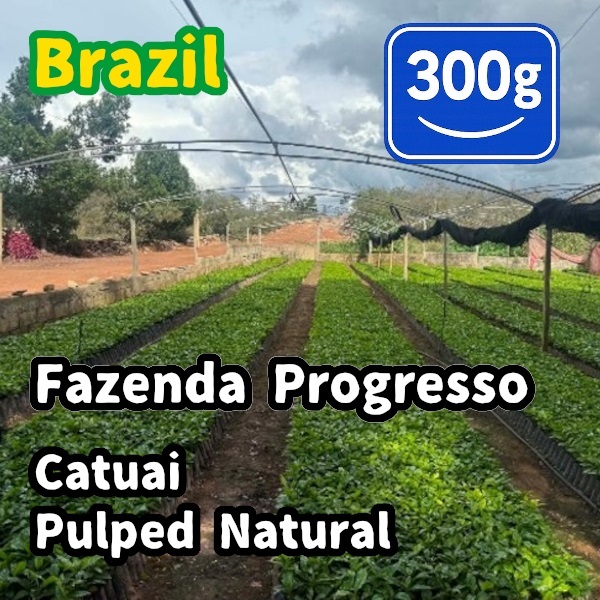生豆 Brazil Fazenda Progresso Catuai Pulped Natural 300g