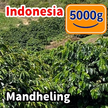 生豆 Indonesia Mandheling 5000g