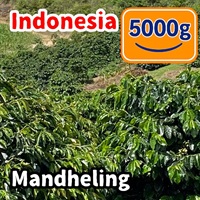 生豆 Indonesia Mandheling 5000g