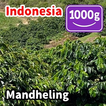 生豆 Indonesia Mandheling 1000g