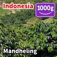 生豆 Indonesia Mandheling 1000g