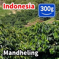 生豆 Indonesia Mandheling 300g