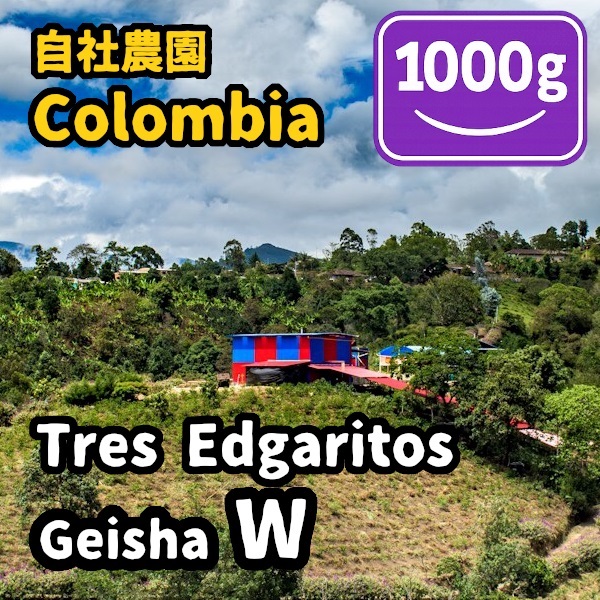 生豆 Colombia Tres Edogaritos Geisha W 1000g