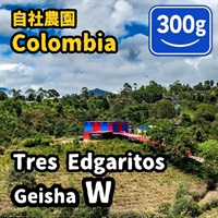 生豆 Colombia Tres Edogaritos Geisha W 300g