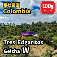 生豆 Colombia Tres Edogaritos Geisha W 100g