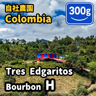 生豆 Colombia Tres Edogaritos Bourbon H 300g