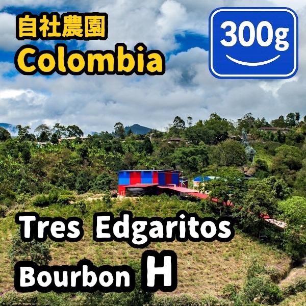生豆 Colombia Tres Edogaritos Bourbon H 300g