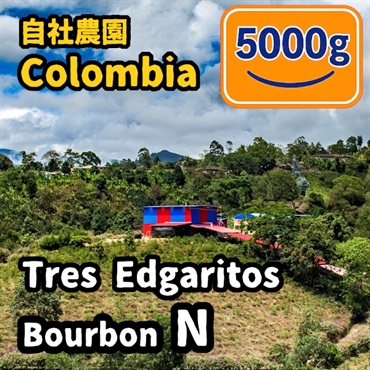 生豆 Colombia Tres Edogaritos Bourbon N 5000g