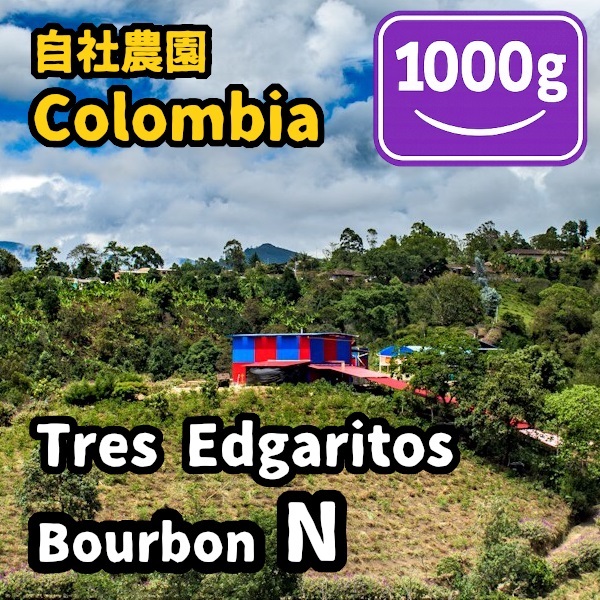 生豆 Colombia Tres Edogaritos Bourbon N 1000g