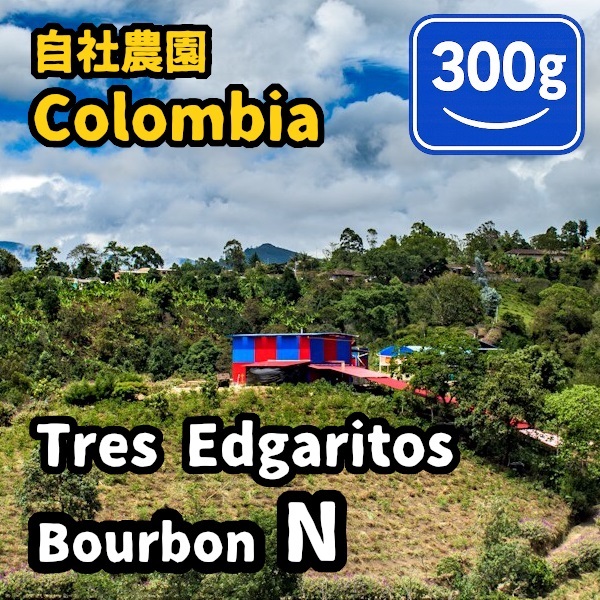 生豆 Colombia Tres Edogaritos Bourbon N 300g