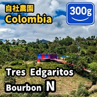 生豆 Colombia Tres Edogaritos Bourbon N 300g