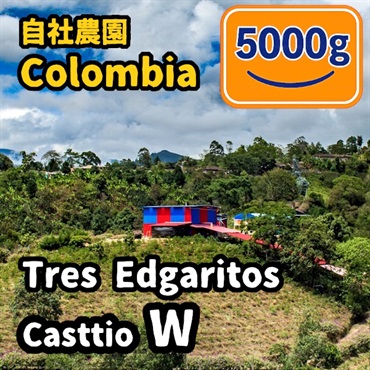 生豆 Colombia Tres Edogaritos Casttio W 5000g