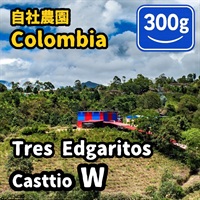 生豆 Colombia Tres Edogaritos Casttio W 300g
