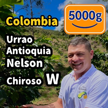 生豆 Colombia Urrao Antioquia Nelson Chiroso W 5000g
