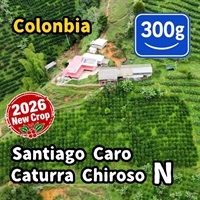 生豆 【New Crop】Colombia Santiago Caro Caturra Chiroso Natural 300g