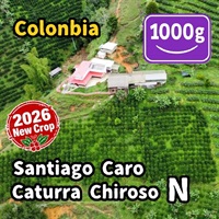 生豆 【New Crop】Colombia Santiago Caro Caturra Chiroso Natural 1000g