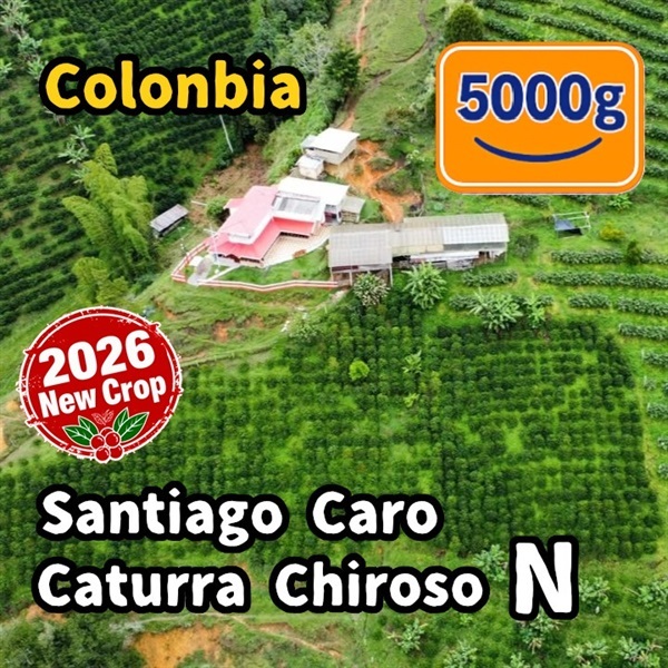 生豆 【New Crop】Colombia Santiago Caro Caturra Chiroso Natural 5000g