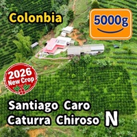 生豆 【New Crop】Colombia Santiago Caro Caturra Chiroso Natural 5000g
