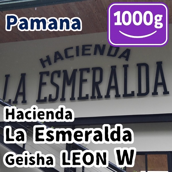 生豆 Panama Hacienda La Esmeralda Geisha LEON W 1000g