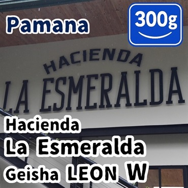 生豆 Panama Hacienda La Esmeralda Geisha LEON W 300g