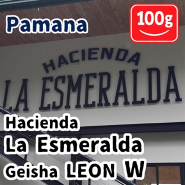 生豆 Panama Hacienda La Esmeralda Geisha LEON W 100g