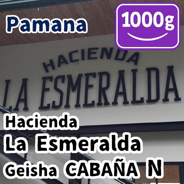生豆 Panama Hacienda La Esmeralda Geisha CABANA N 1000g