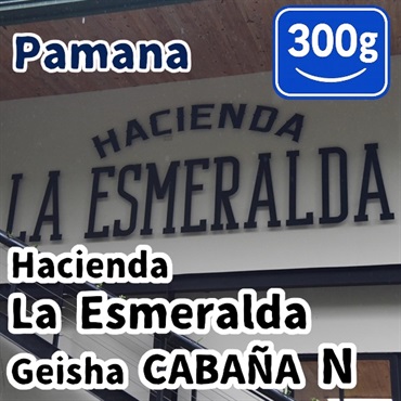 生豆 Panama Hacienda La Esmeralda Geisha CABANA N 300g