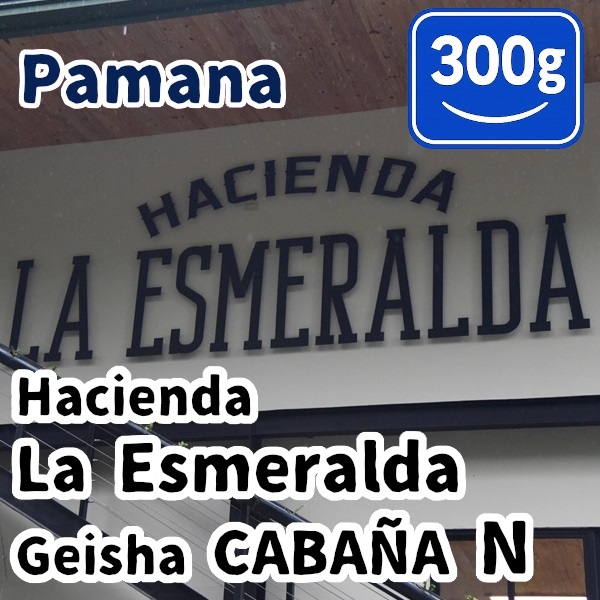 生豆 Panama Hacienda La Esmeralda Geisha CABANA N 300g