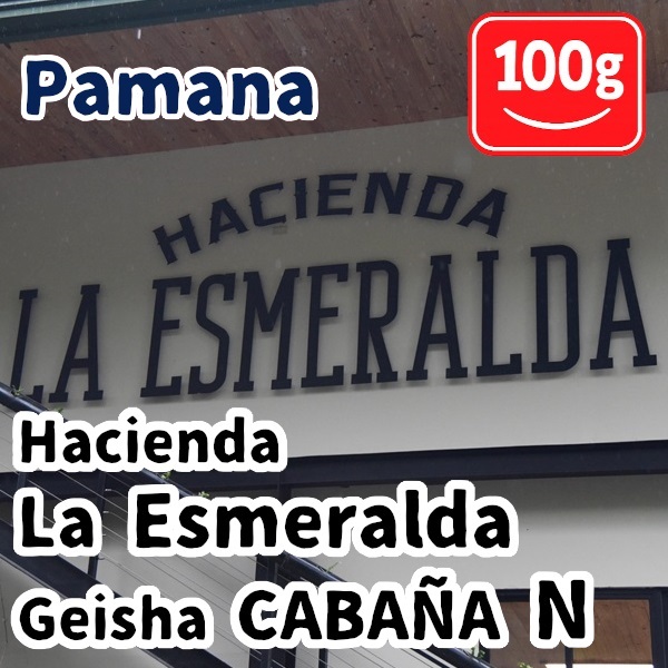生豆 Panama Hacienda La Esmeralda Geisha CABANA N 100g