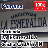 生豆 Panama Hacienda La Esmeralda Geisha CABANA N 100g