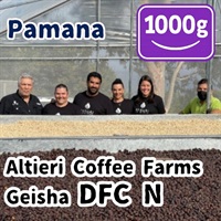 生豆 Panama Altieri Coffee Farms Geisha DFC N 1000g