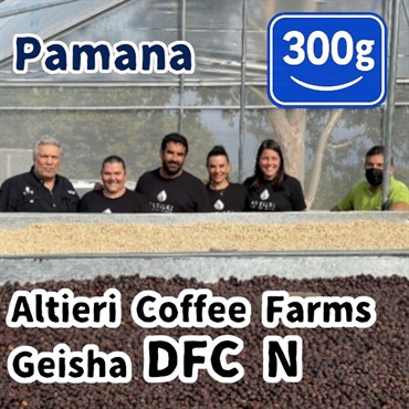 生豆 Panama Altieri Coffee Farms Geisha DFC N 300g