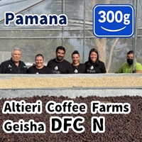 生豆 Panama Altieri Coffee Farms Geisha DFC N 300g