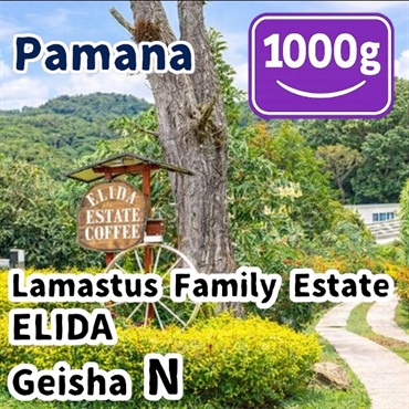 生豆 Panama Lamastus Family Estate ELIDA Geisha N 1000g