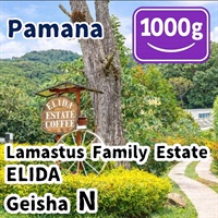 生豆 Panama Lamastus Family Estate ELIDA Geisha N 1000g