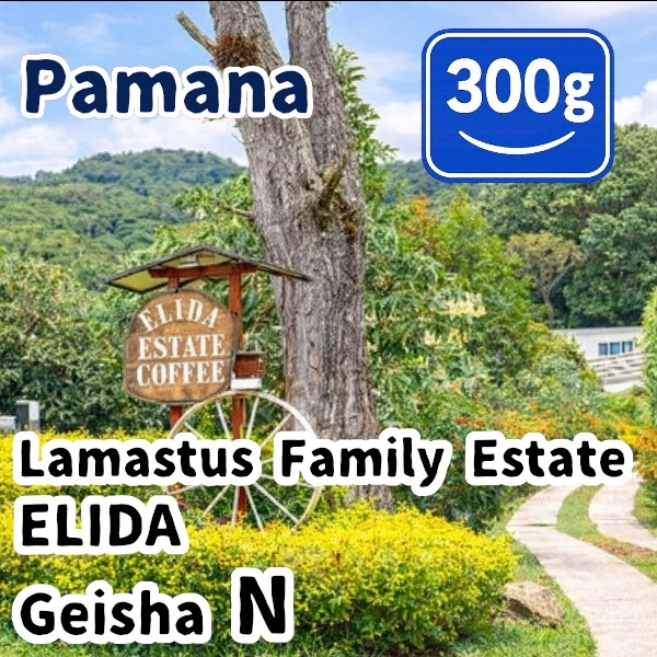生豆 Panama Lamastus Family Estate ELIDA Geisha N 300g