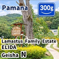 生豆 Panama Lamastus Family Estate ELIDA Geisha N 300g