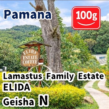 生豆 Panama Lamastus Family Estate ELIDA Geisha N 100g