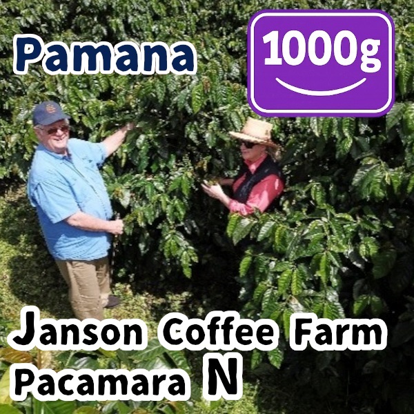 生豆 Panama Janson Coffee Farm Pacamara N 1000g