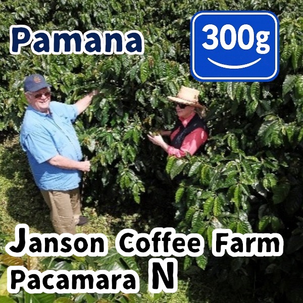 生豆 Panama Janson Coffee Farm Pacamara N 300g
