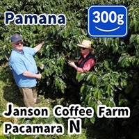 生豆 Panama Janson Coffee Farm Pacamara N 300g