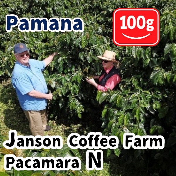 生豆 Panama Janson Coffee Farm Pacamara N 100g
